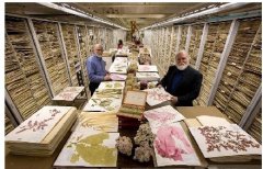 恒溫恒濕標(biāo)本倉(cāng)庫(kù)