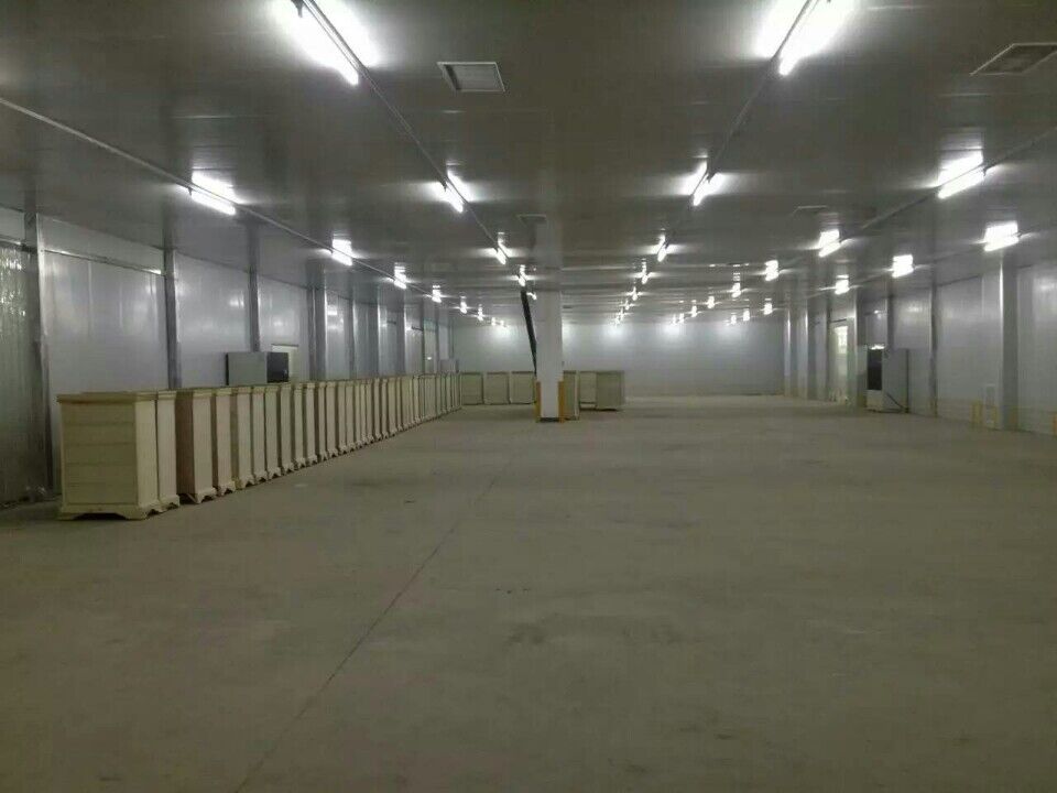 養(yǎng)生房主體結(jié)構(gòu)完工